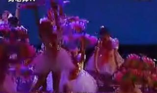 舞蹈飞得更高 舞蹈飞得更高